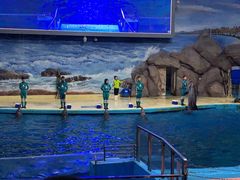 -福州罗源湾海洋世界旅游区