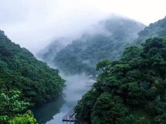 -石台牯牛降景区