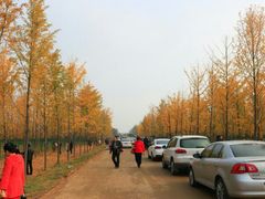 -汉景帝阳陵博物院