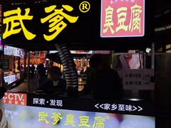 -武爹臭豆腐(坡子街店)