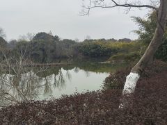 -西溪国家湿地公园