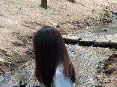 -白水寺森林公园
