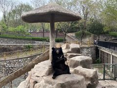 -石家庄市动物园