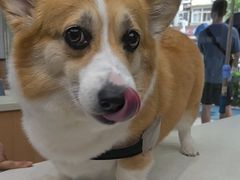 -联合动物医院(光谷诊疗中心)