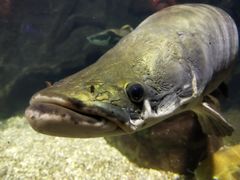 -太平洋海底世界