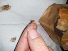 -拾烧车轮饼(世纪金源店)