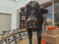 -左庭右院鲜牛肉火锅(京西大悦城店)