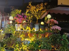 -王万妈卤猪脚(青岩交通路)