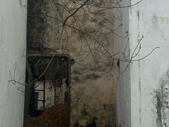 -东梓关景区村庄