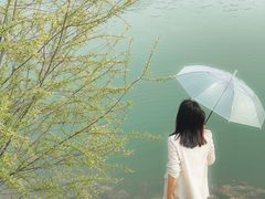 -羊山湖公园
