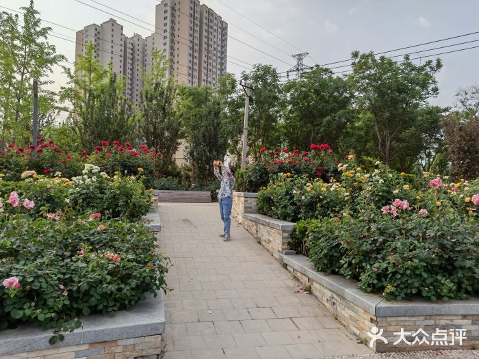 坝河休闲公园图片
