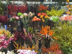 -双季花艺园艺市场(浦东店)