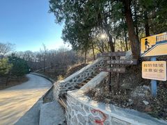 -阳台山自然风景区