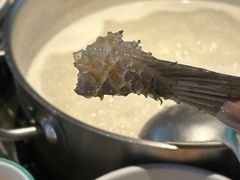 -淘米捞·米汤脆鲩鱼火锅(福田皇岗店)