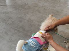 -Max乐狐·密室逃脱(港惠店)