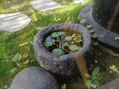 -扫雪煮茶(西村店)