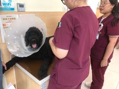 -美联众合动物医院·24h京西诊疗中心