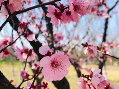 -白塘生态植物园