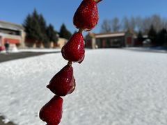 -伪满皇宫博物院