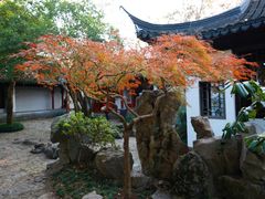 -秋霞圃