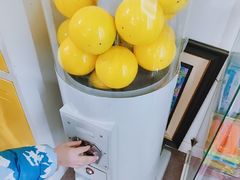 -勇气斑马·巴西柔术&跆拳道(浦东三林店)