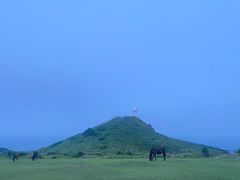 -涉地可支