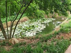 -盘龙城国家考古遗址公园