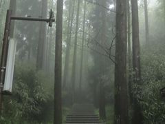 -山王坪喀斯特国家生态公园