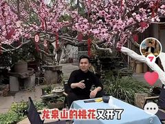 -桃源山庄·水蜜桃采摘·柴火鸡·烧烤团建(龙泉山店)
