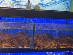 -透明思烤·自助烤肉海鲜火锅(东部星悦天地店)