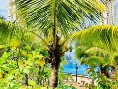 -亚马逊丛林水乐园