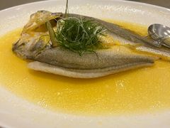 -海都六福酒家(世博广场店)