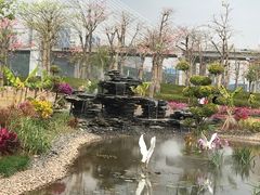 -芒洲湿地公园