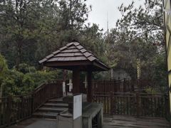 -天目湖涵田半山温泉