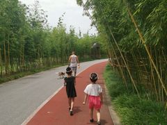 -上海长兴岛郊野公园