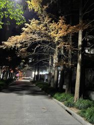 点击看大图 -上海艾儿贝佳妇产科医院