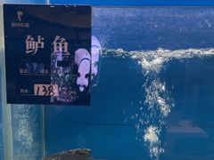 -眉州东坡(博雅店)