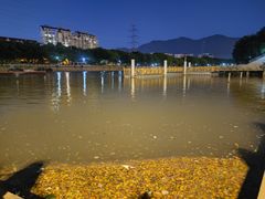 -光明港公园