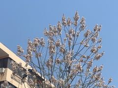 -上海附一心理咨询中心(儿童医学中心)