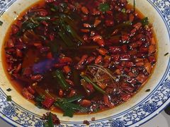 -院8里·少城记忆老川菜(宽窄巷子店)