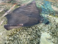 -珠海长隆海洋王国