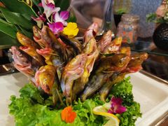-百香自助餐厅·西安唐隆国际酒店(曲江店)