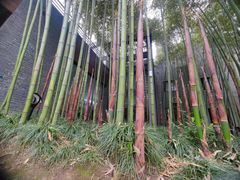 -杭州植物园