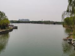 -大兴滨河森林公园