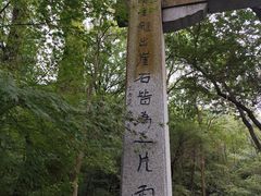 -龙井村