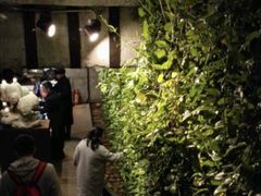-外婆家(杭州马塍店·杭帮菜名店)