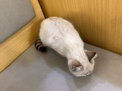 -美联众合动物医院·24h转诊中心