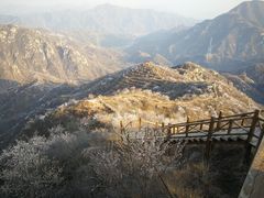 -大岭沟猕猴桃谷风景区