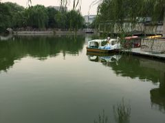 -黄村公园
