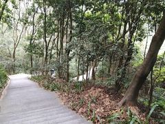 -广州市帽峰山景区